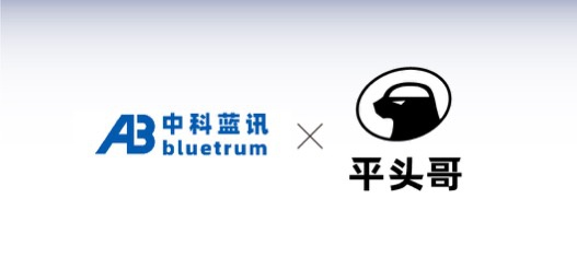 蓝牙芯片厂中科蓝讯签约阿里平头哥 共研物联网芯片